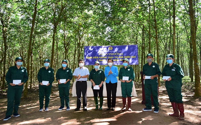 Lãnh đạo Công ty TNHH MTV Cao-su Dầu Tiếng trao thưởng công nhân khai thác vượt sản lượng quý III.