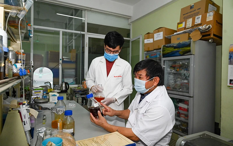 Nghiên cứu hoạt chất tại Viện Công nghệ sinh học, Viện Hàn lâm khoa học và Công nghệ Việt Nam. Ảnh: MINH HÀ