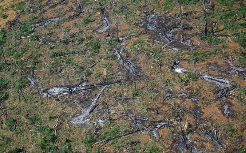 Ảnh chụp từ trên không cho thấy một khu vực rừng Amazon bị chặt phá ở bang Rondonia, Brazil ngày 28/9/2021. (Ảnh: Reuters)