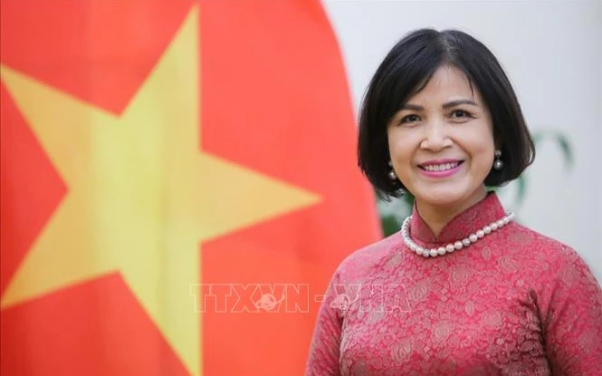 Đại sứ Lê Thị Tuyết Mai, Trưởng Phái đoàn đại diện thường trực Việt Nam bên cạnh Liên hợp quốc, WTO và các tổ chức quốc tế khác tại Geneva. (Ảnh: TTXVN)