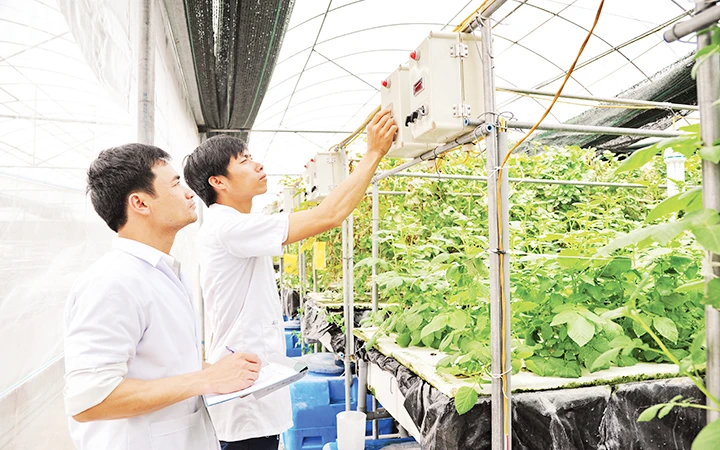 Cán bộ Viện Sinh học nông nghiệp (Học viện Nông nghiệp Việt Nam) nghiên cứu giống cây trồng. Ảnh | TRẦN GIANG