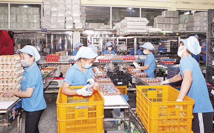 Sản xuất tại Công ty cổ phần thực phẩm Vĩnh Thành Đạt (Ảnh minh họa: Phương Vy).