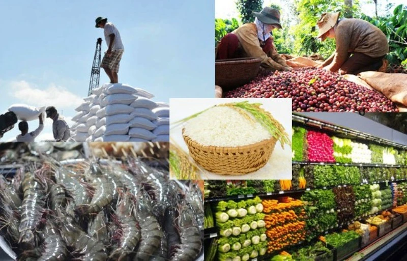 Nông sản Việt Nam chiếm thị phần khiêm tốn tại thị trường EU.