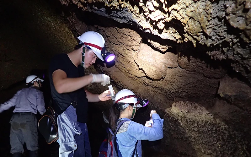 Các nhà khoa học khảo sát sinh học và thu mẫu sinh vật ở hang động núi lửa Krông Nô (Đắk Nông).Ảnh: THẾ PHÚC