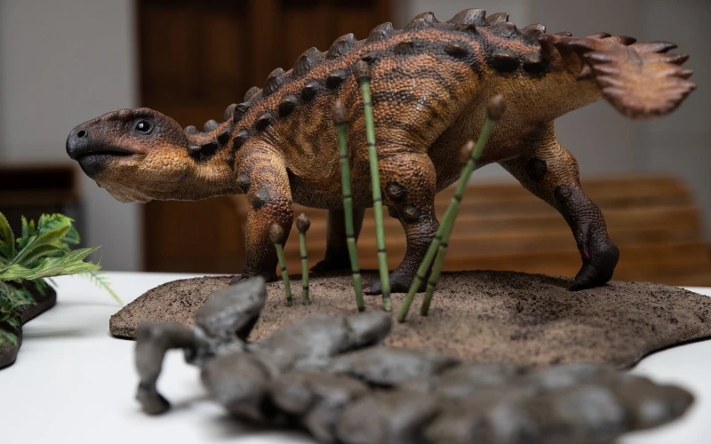Mô hình loài khủng long bọc giáp mới được các nhà nghiên cứu tại Đại học Chile phát hiện. (Ảnh EPA)