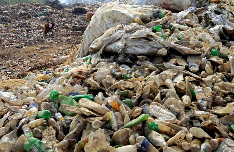Thu gom chai nhựa để tái chế tại bãi rác nằm ở ngoại ô Agartala, thủ phủ của bang Tripura, đông bắc Ấn Độ. Ảnh: Reuters.