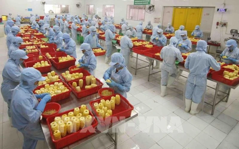 Các sản phẩm rau quả chế biến của Việt Nam đang dần đáp ứng được các yêu cầu của người tiêu dùng Hoa Kỳ. (Ảnh TTXVN)