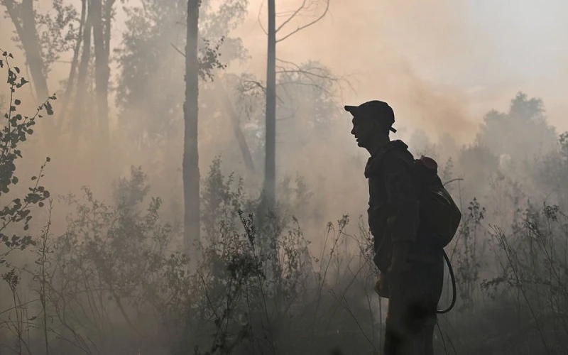 Biến đổi khí hậu đang làm gia tăng tần suất và cường độ các vụ cháy rừng trên thế giới. (Ảnh: Reuters)