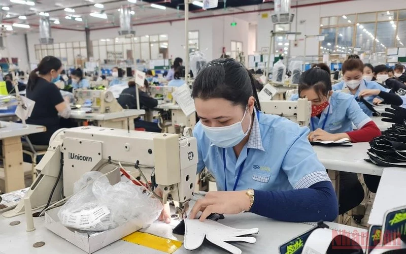 Nghề may công nghiệp đang được nhiều lao động nông thôn ở Nghệ An lựa chọn. (Ảnh: THÀNH CHÂU)