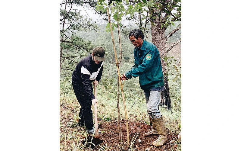 Ca sĩ Hà Anh Tuấn tham gia trồng rừng cùng người dân và lực lượng kiểm lâm trong khuôn khổ dự án Rừng Việt Nam. Ảnh: Dự án Rừng Việt Nam 