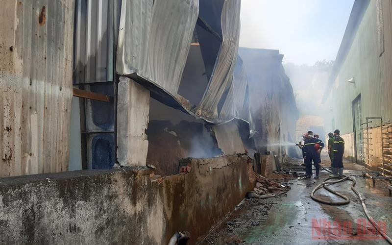 Nhà xưởng công ty bị sập hàng nghìn mét vuông do vụ cháy.