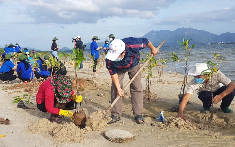 Các lực lượng tham gia trồng cây đước tại xã Cam Thành Bắc, huyện Cam Lâm, tỉnh Khánh Hòa. (Ảnh: VĨNH THÀNH)
