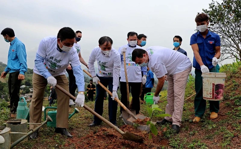 Chủ tịch UBND tỉnh Hòa Bình Bùi Văn Khánh (giữa) tham gia trồng cây xanh sau lễ trao tặng.