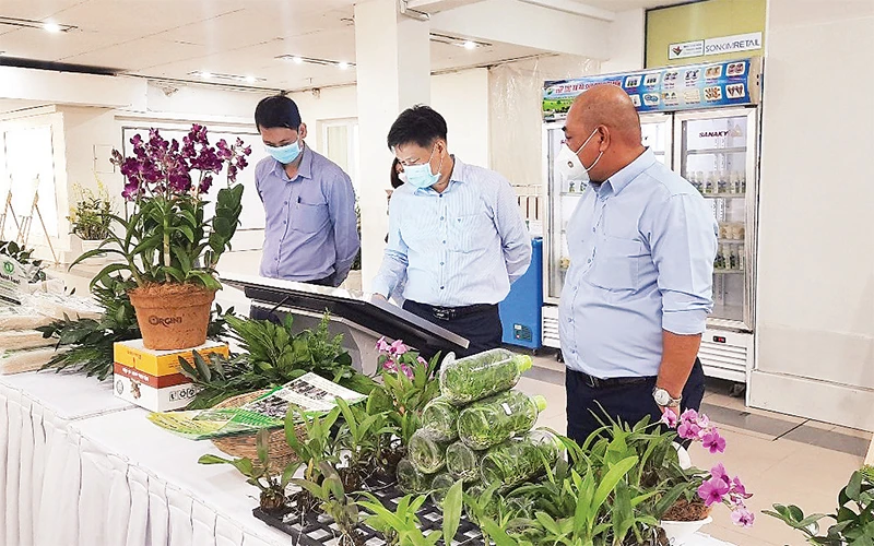 Đại biểu xem các sản phẩm nông nghiệp tiêu biểu được trưng bày tại Lễ tuyên dương Nông dân tiêu biểu TP Hồ Chí Minh năm 2021. 