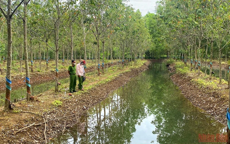 Hiện trường 2 cháu bé đuối nước.