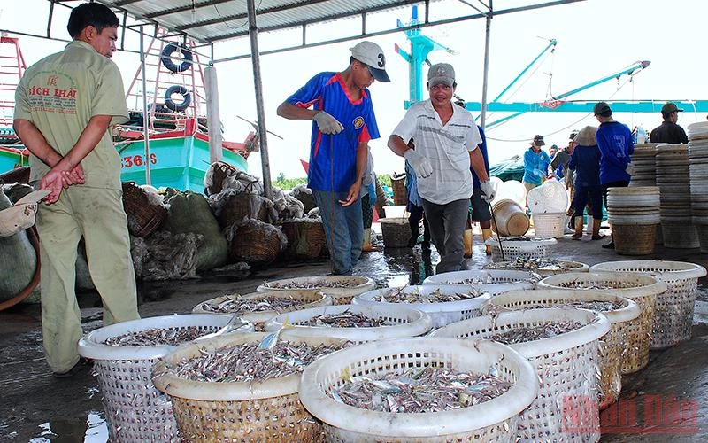 Bốc dỡ hải sản khai thác tại Bến cảng cá Sông Đốc, huyện Trần Văn Thời, tỉnh Cà Mau.