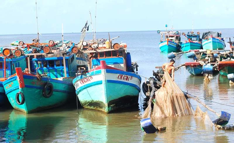 Tàu khai thác neo đậu an toàn tại một khu vực ven đê biển biển Tây, khu vực thuộc huyện Trần Văn Thời, tỉnh Cà Mau.