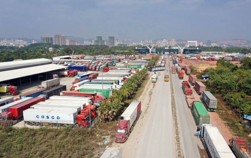 Xe container xếp hàng dài đợi thông quan tại cửa khẩu.