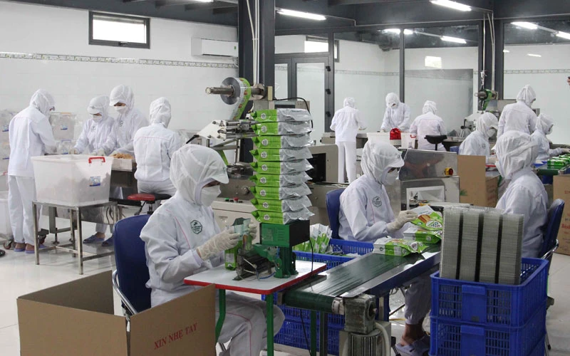 Cơ sở bánh dừa nướng TOPCOCO tăng cường sản xuất.