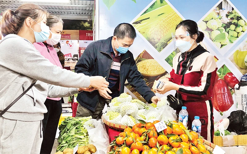 Người tiêu dùng Hà Nội mua sắm các sản phẩm nông sản, đặc sản vùng miền.