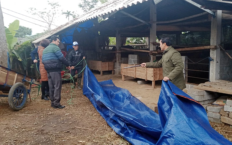 Hướng dẫn người dân xã Động Đạt, huyện Phú Lương (Thái Nguyên) che chắn chuồng trại gia súc trong mùa đông.