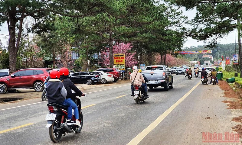 Các tuyến đường tại thị trấn Măng Đen tấp nập các phương tiện cá nhân của du khách.