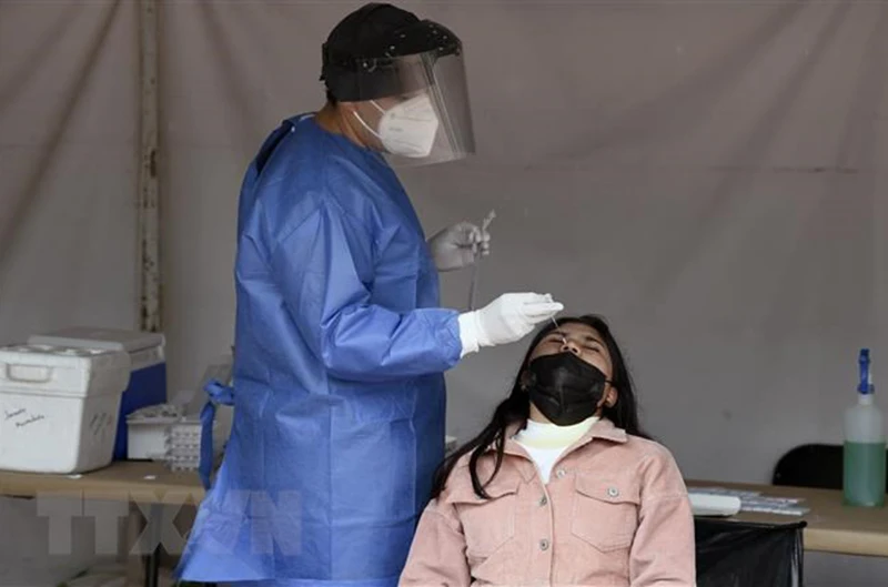 Nhân viên y tế lấy mẫu xét nghiệm Covid-19 cho người dân tại Mexico City, Mexico. (Ảnh: AFP/TTXVN)