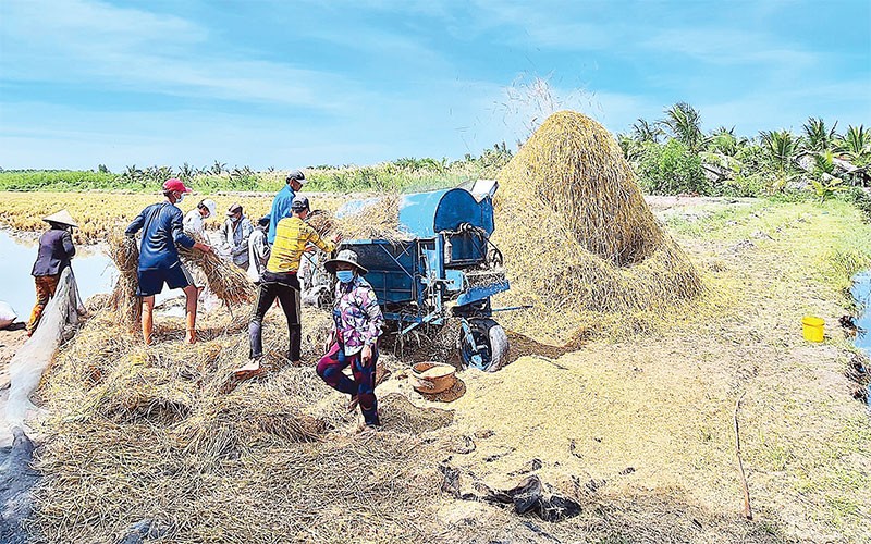 Trà Vinh nhân rộng 12 mô hình sản xuất nông nghiệp hiệu quả  Kinh nghiệm  làm ăn  Báo ảnh Dân tộc và Miền núi