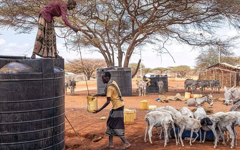 Người dân Kenya khan hiếm nước. Ảnh UN News