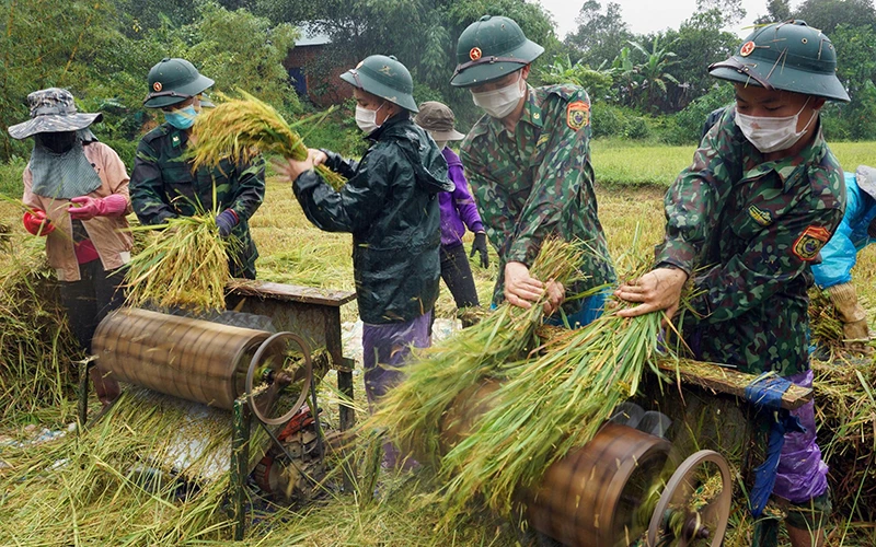Bộ đội Biên phòng Cửa khẩu A Đới (tỉnh Thừa Thiên Huế) giúp người dân xã Lâm Đới (huyện A Lưới) thu hoạch lúa.