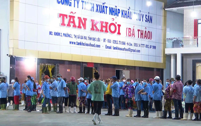 Công ty TNHH Xuất nhập khẩu thủy sản Tấn Khởi, thị xã Giá Rai, Bạc Liêu giải quyết công ăn việc làm ổn định cho hàng nghìn lao động nghèo địa phương.
