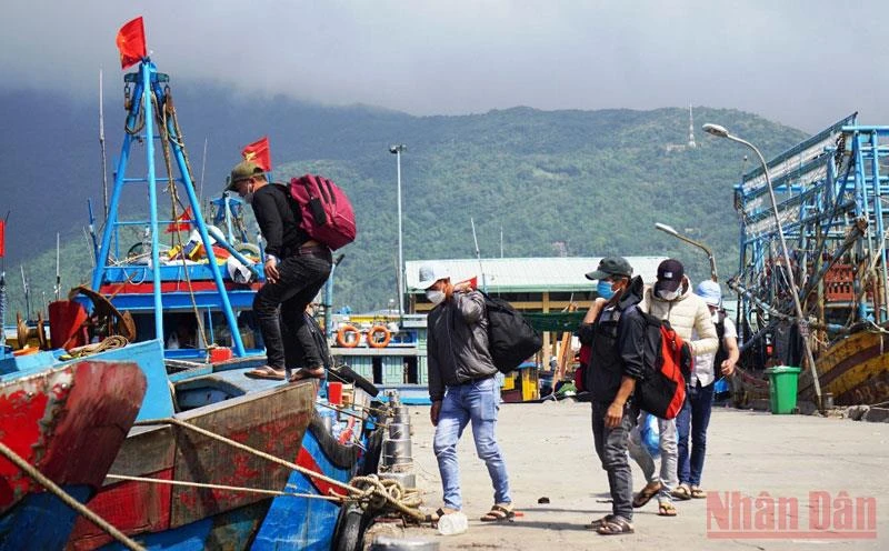 Hàng trăm ngư dân miền trung đã trở lại Đà Nẵng, tất bật chuẩn bị cho chuyến biển đầu năm.