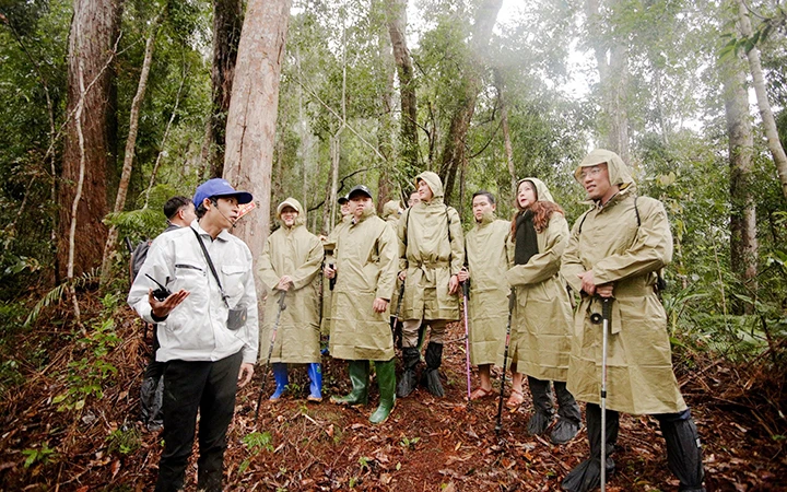 Khảo sát rừng pơ mu để triển khai chương trình "Triệu cây xanh- Vì một Việt Nam xanh" tại tỉnh Quảng Nam.