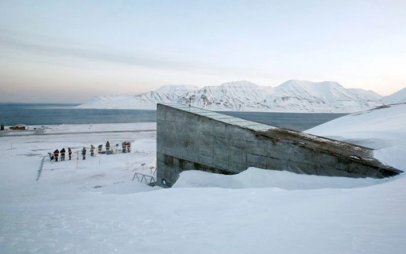 Được xây dựng sâu trong lòng núi ở vùng Bắc Cực, kho hạt giống toàn cầu Svalbard có một vai trò quan trọng, cung cấp hạt giống cho các nhà khoa học và nông dân trong trường hợp chiến tranh, dịch bệnh hay thiên tai phá hủy mùa màng. Ảnh: REUTERS