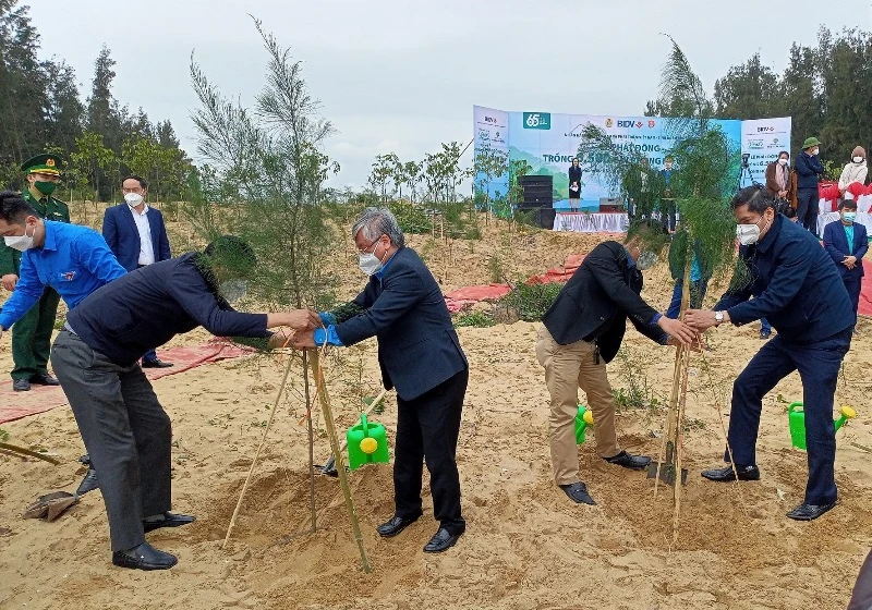 Các đại biểu tiến hành trồng 5.000 cây phi lao và 1.500 cây sao đen phòng hộ ven biển tại xã Quỳnh Liên.