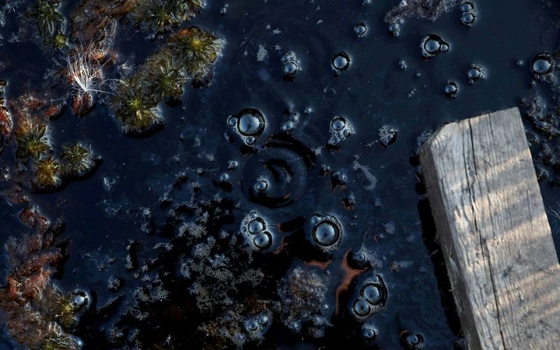 Bong bóng khí methane được nhìn thấy trong một khu vực đầm lầy tại một điểm nghiên cứu ở Stordalen Mire gần Abisko, Thụy Điển, ngày 1/8/2019. (Ảnh: Reuters)