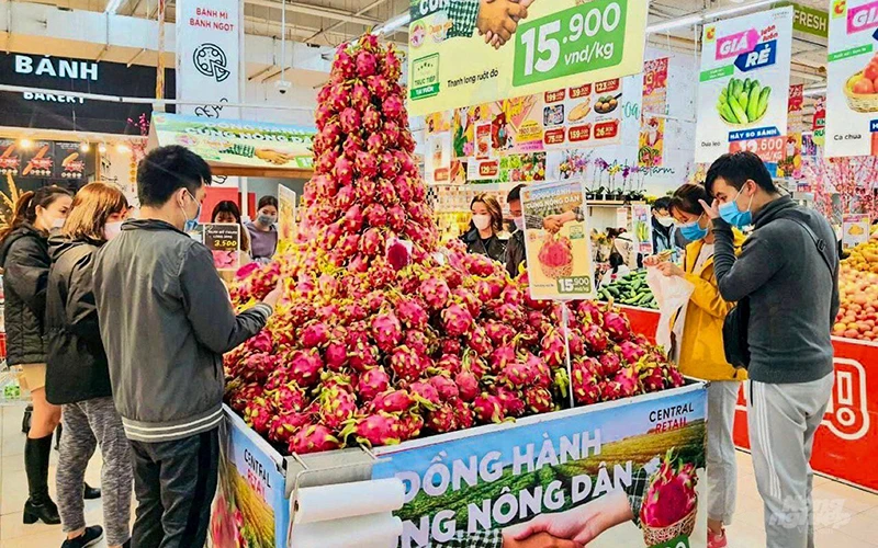 Người tiêu dùng Hà Nội mua thanh long ruột đỏ tại siêu thị Big C. (Ảnh NGỌC TÂN)