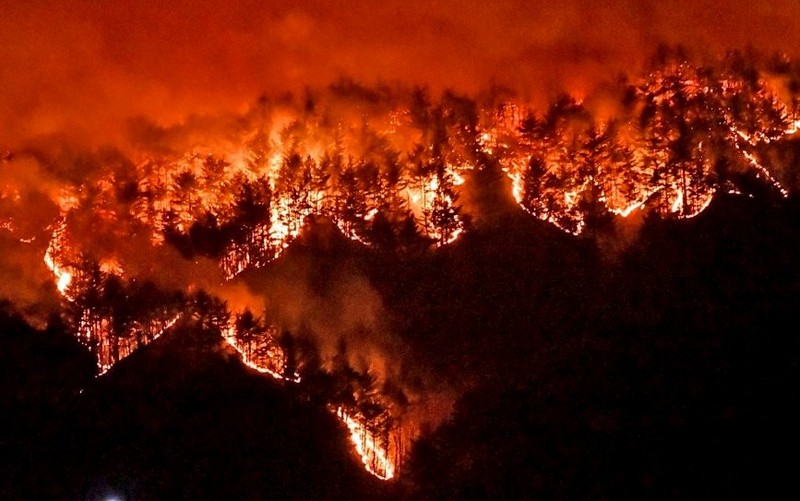 Cháy rừng lan rộng đe dọa rừng nguyên sinh Brazil