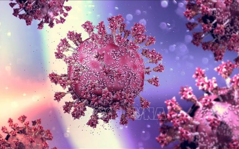 Hình ảnh mô phỏng virus SARS-CoV-2 gây bệnh Covid-19. (Ảnh: MedPage Today/TTXVN)