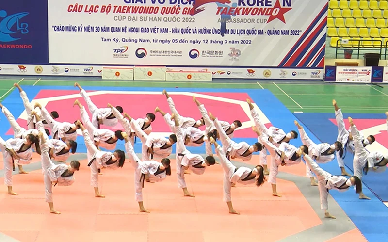 Biểu diễn Taekwondo tại lễ khai mạc.