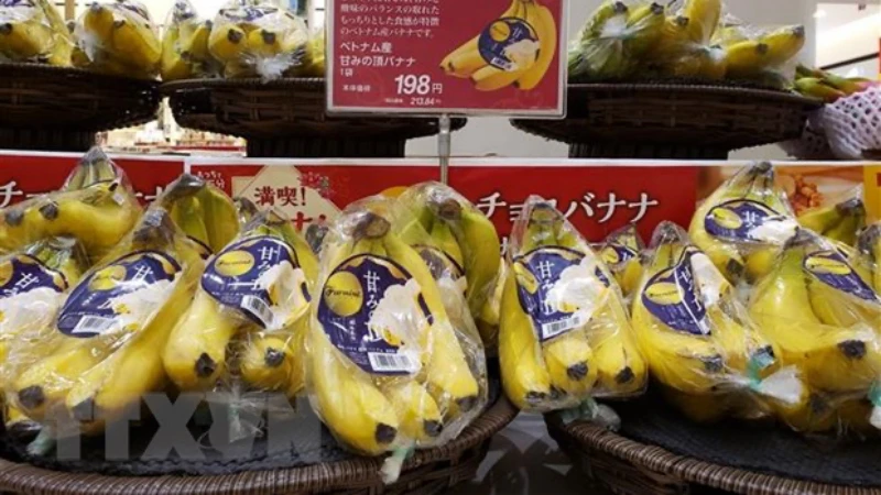 Chuối Việt Nam được bày bán tại siêu thị AEON Lake Town ở tỉnh Saitama, Nhật Bản. (Ảnh: TTXVN)
