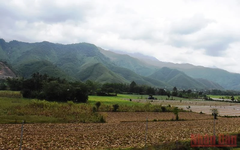Huyện Hòa Vang, TP Đà Nẵng không tiếp nhận giải quyết hồ sơ đề nghị chuyển mục đích đối với đất nông nghiệp thuần túy. Trong ảnh là một góc của xã Hòa Bắc, huyện Hòa Vang.