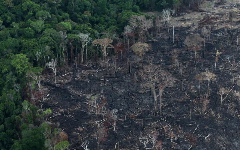 Một khu vực rừng bị tàn phá ở Itaituba, bang Para, Brazil, ngày 26/9/2019. (Ảnh: Reuters)