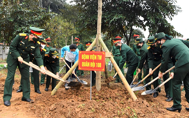 Các đại biểu tham gia trồng cây.