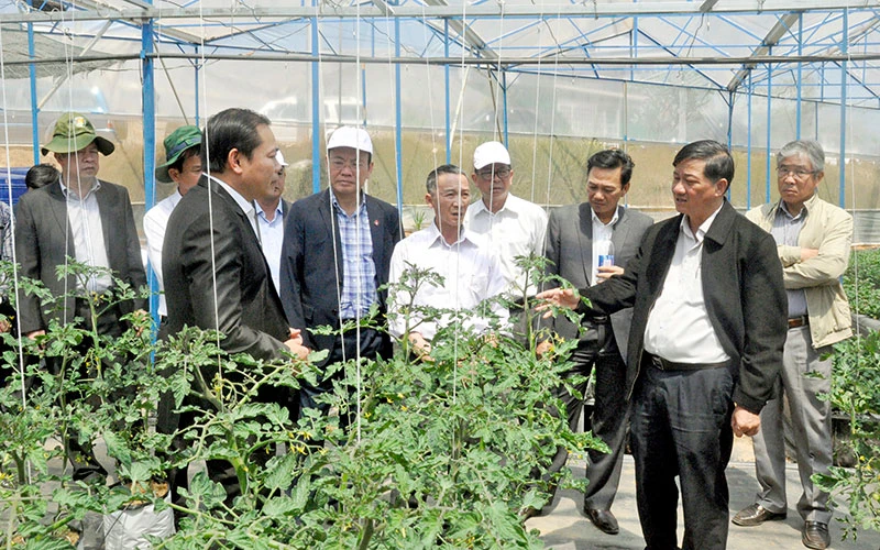 Lãnh đạo tỉnh Lâm Ðồng thăm nông trại của Hợp tác xã dịch vụ nông nghiệp tổng hợp Sunfood Ðà Lạt. 