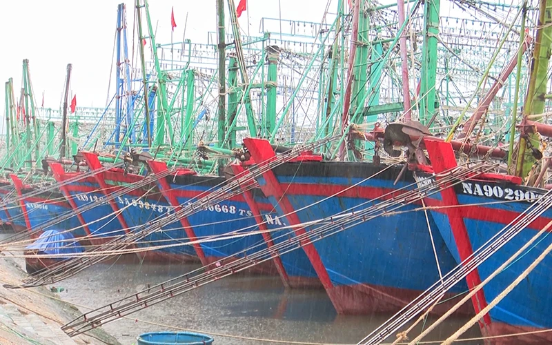 Tàu thuyền neo đậu tránh trú mưa bão tại huyện Quỳnh Lưu.