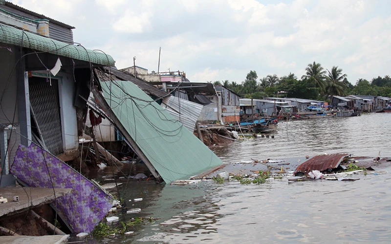 Sụt lún, sạt lở đất bờ sông Ô Môn, thành phố Cần Thơ khiến nhiều căn nhà trôi xuống sông.　 