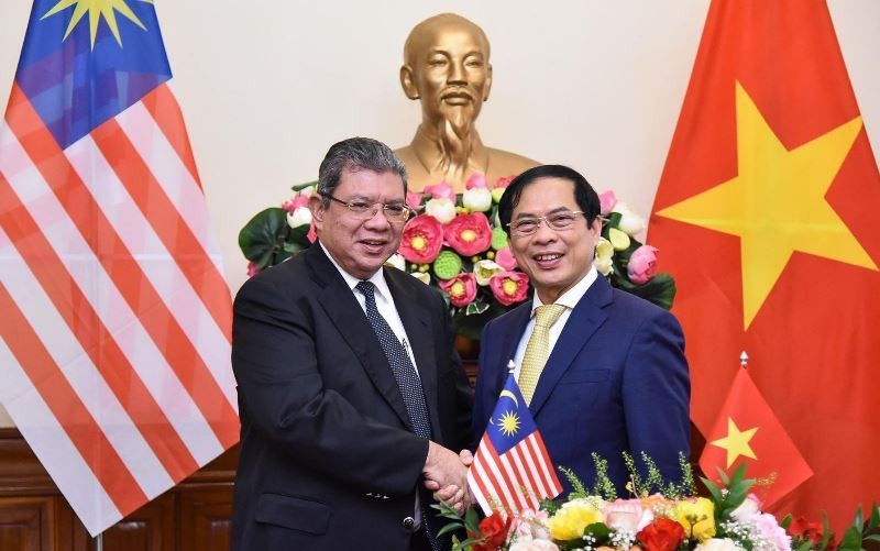 Bộ trưởng Ngoại giao Bùi Thanh Sơn tiếp đón Bộ trưởng Ngoại giao Malaysia. (Ảnh: Báo Thế giới và Việt Nam)