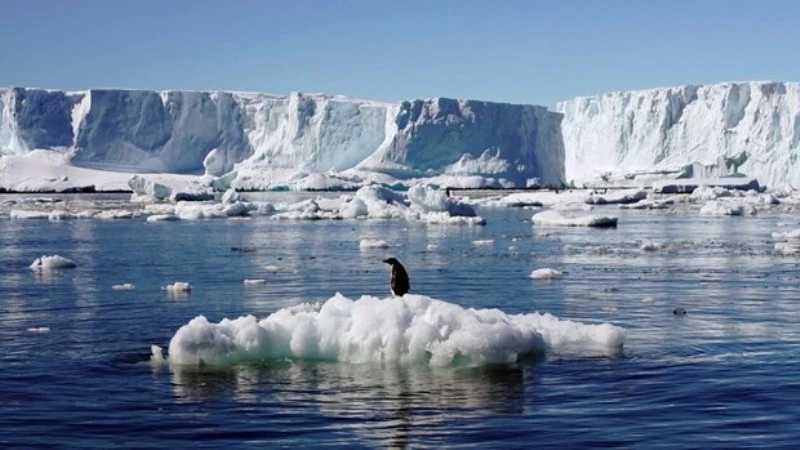 Nhiệt độ Nam Cực ghi nhận ở mức cao bất thường. (Ảnh: Reuters)