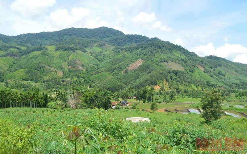 Vùng miền núi huyện Sơn Tây (Quảng Ngãi).